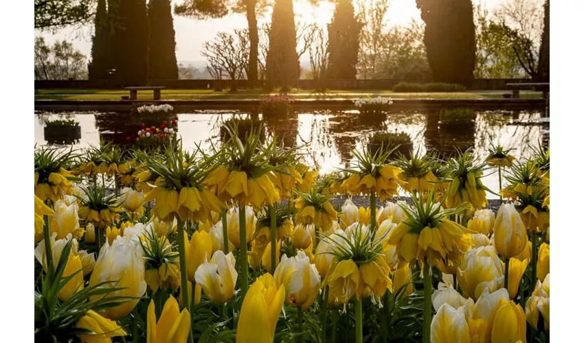 Parco Giardino Sigurtà: Billete de fecha abierta