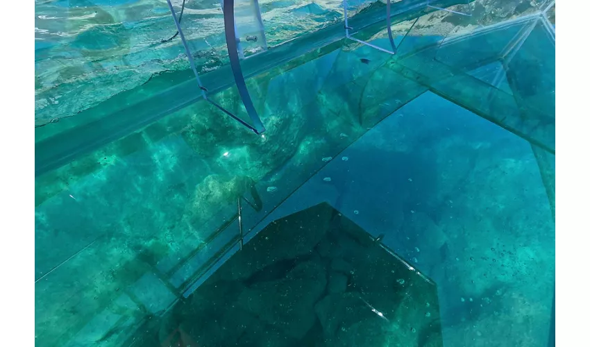 Siracusa: Tour in barca trasparente della costa e delle grotte marine + sosta per nuotare