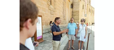 Palazzo dei Normanni e Cappella Palatina: Biglietto d'ingresso + visita guidata