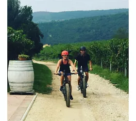 Viñedos de Valpolicella: Tour en bicicleta eléctrica con cata de vinos