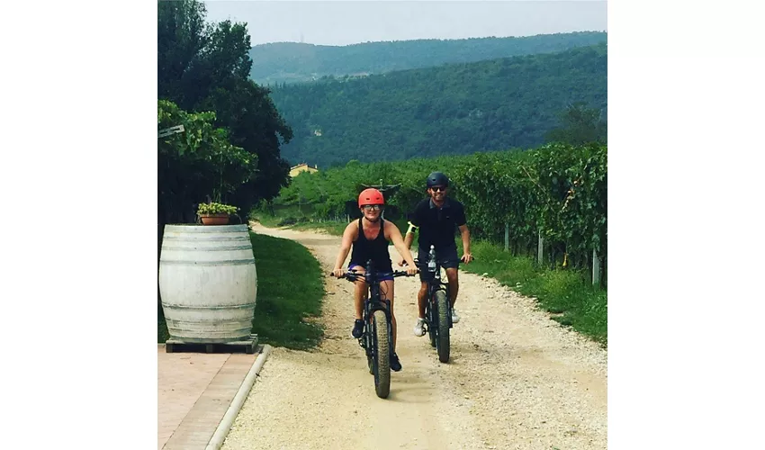 Viñedos de Valpolicella: Tour en bicicleta eléctrica con cata de vinos