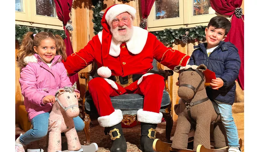 Leolandia: Open Date Ticket