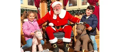 Leolandia: Open Date Ticket