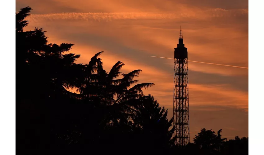 Torre Branca: Biglietto d'ingresso