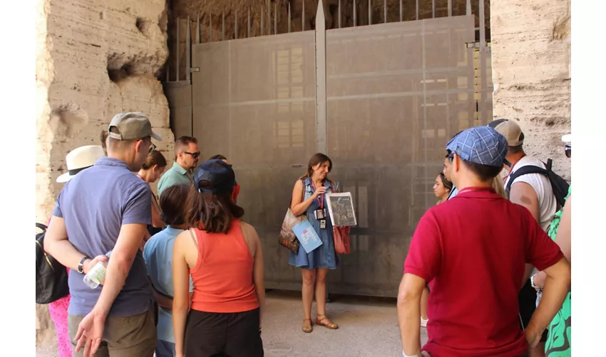 Colosseum, Arena, Roman Forum & Palatine Hill + Guided Tour