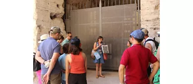 Colosseum, Arena, Roman Forum & Palatine Hill + Guided Tour