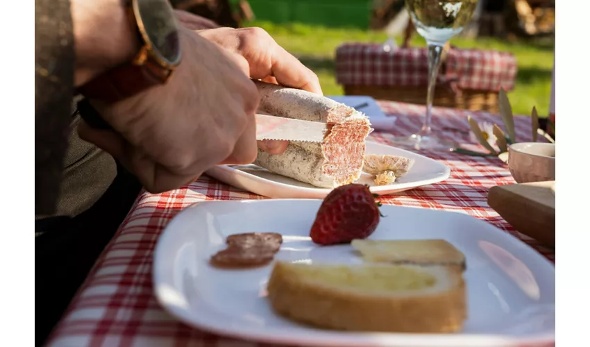 Weingut Mazzarosa: Ländliches Picknick im Olivenhain