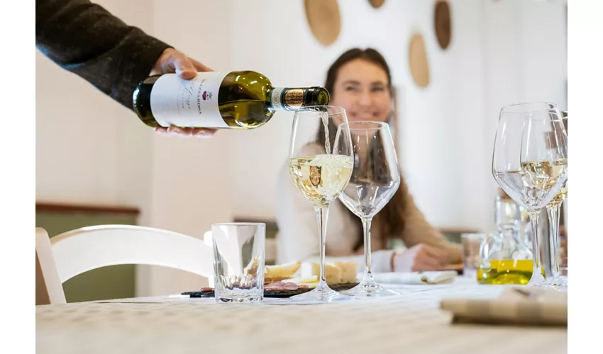 Safari Grand Tour und Verkostung