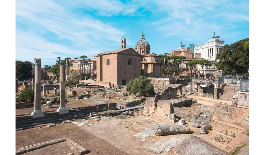 Tour guidato del Colosseo, Foro Romano e Palatino