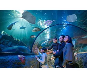 Gardaland SEA LIFE Aquarium: Entry Ticket