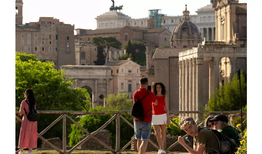 Colosseum, Roman Forum & Palatine Hill + Guided Tour