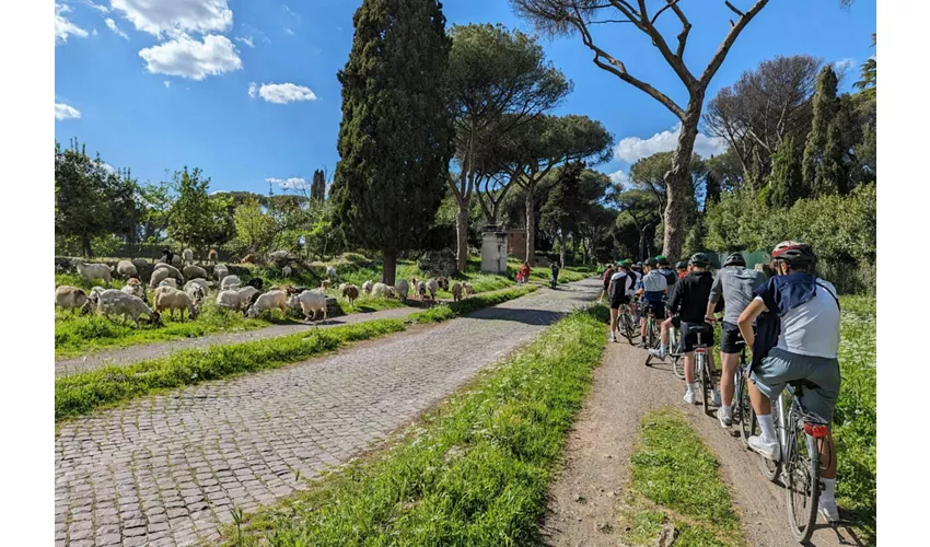 Appian Way: Passeio guiado de E-Bike