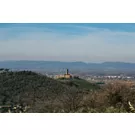 Visite guidate al Castello di Montecchio Vesponi