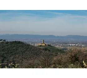 Guided tours of Montecchio Vesponi Castle