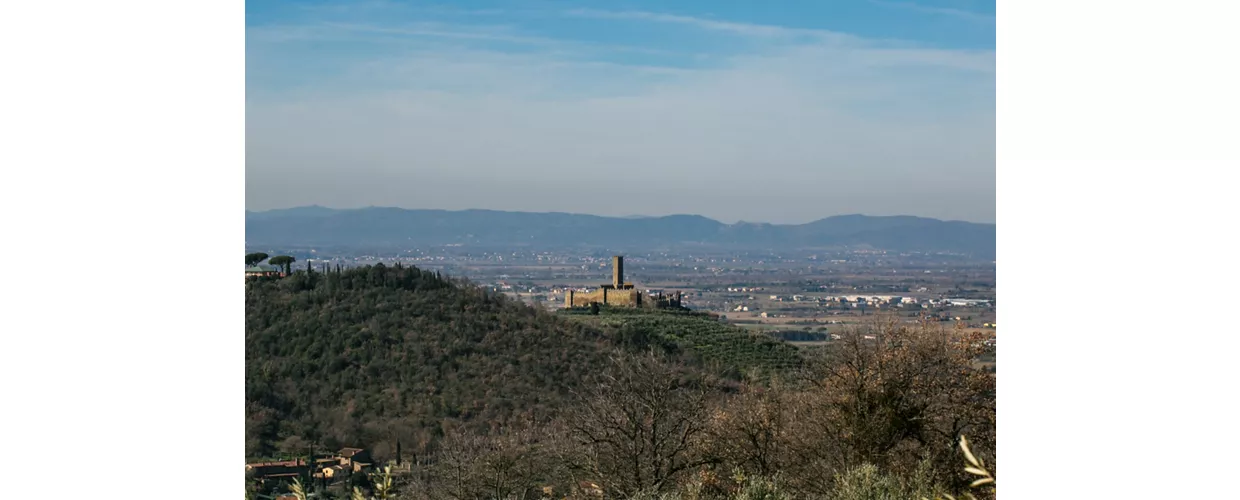 Visite guidate al Castello di Montecchio Vesponi