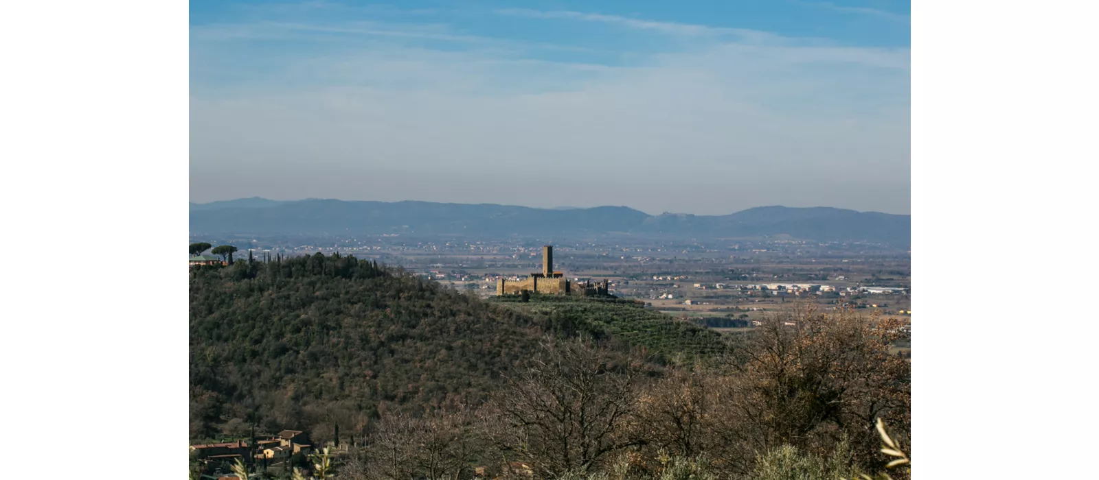 Visite guidate al Castello di Montecchio Vesponi