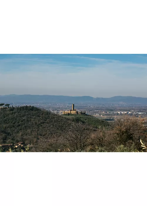 Visite guidate al Castello di Montecchio Vesponi