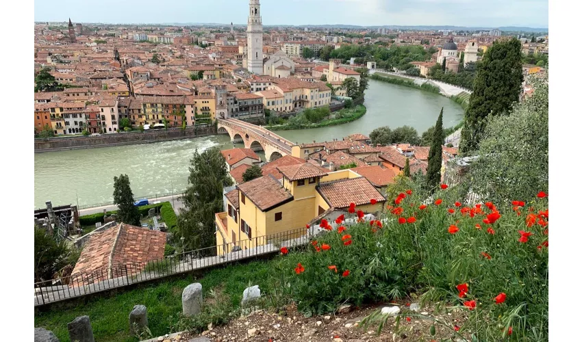 Highlights and Hidden Gems of Verona Bike Tour