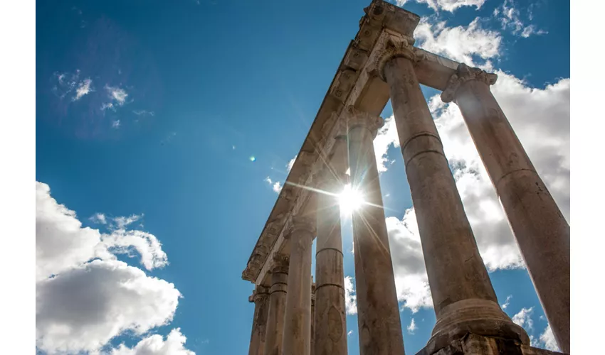 Colosseo, Arena, Foro Romano e Palatino + Tour in autobus