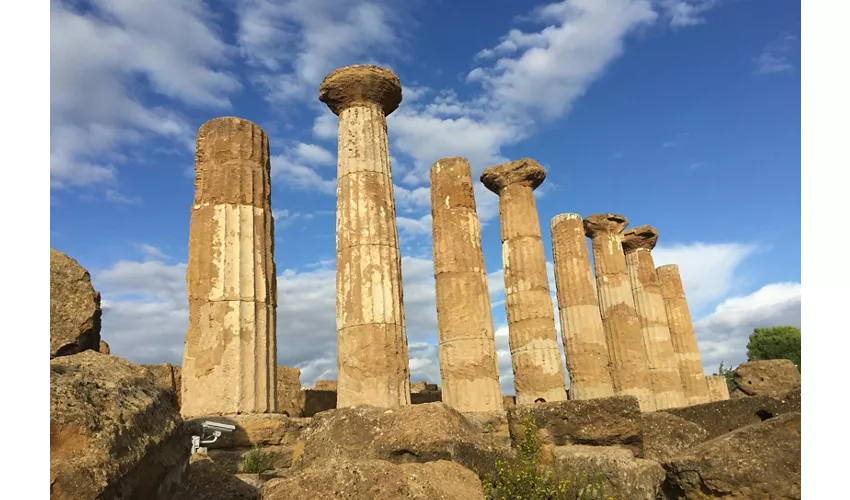 Valle de los Templos: Tour guiado