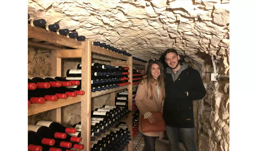 Verona: Valpolicella Winery Tour with a Winemaker