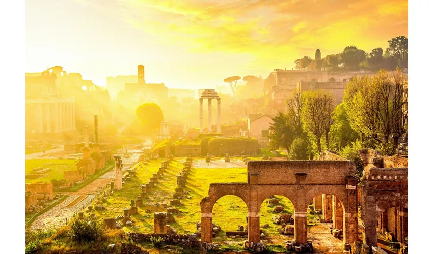 Colosseo, Arena, Sotterranei, Foro e Palatino + Tour guidato