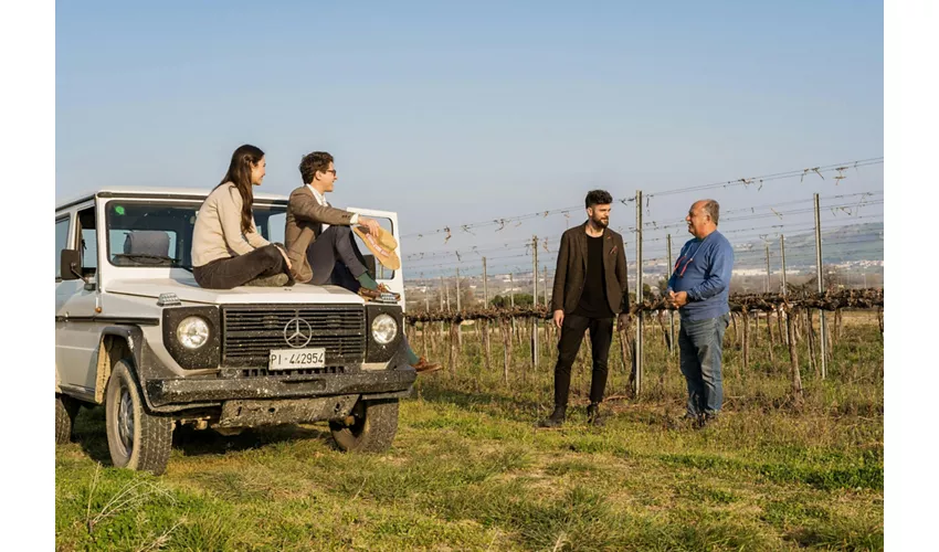 Safari Grand Tour und Verkostung