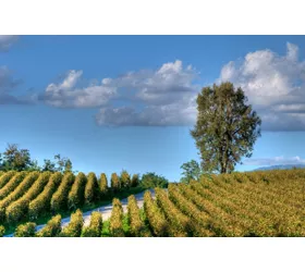 adobestock@inLombardia