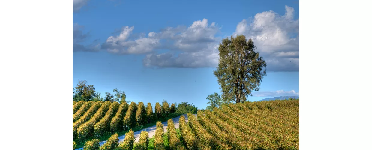 adobestock@inLombardia