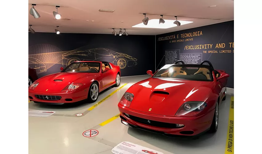 Museo Ferrari Maranello: Biglietto d'ingresso