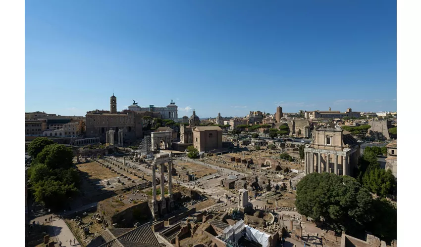 Colosseum, Roman Forum & Palatine Hill + Guided Tour