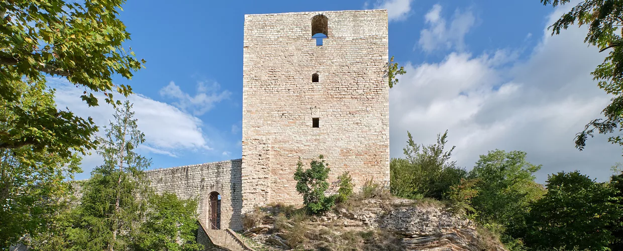 Rocca Albornoz 