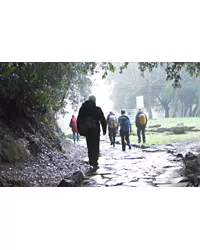Descubra outros caminhos inspirados em São Francisco