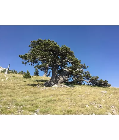 Nature trekking along the Calabria Italia Trail