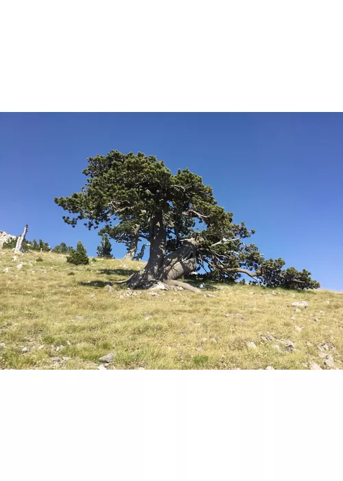 Nature trekking along the Calabria Italia Trail