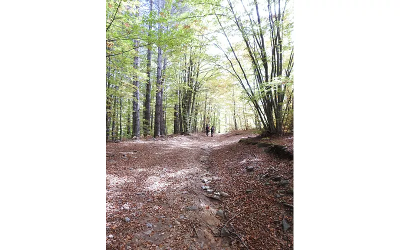 Il Calabria Italia Trail