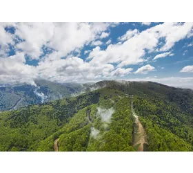 Aspromonte Parco Letterario, dal Grand Tour agli scrittori calabresi del '900