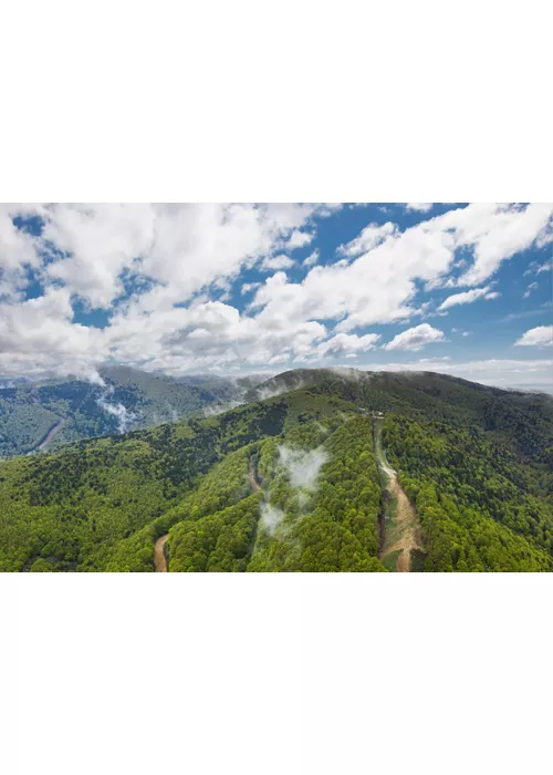 Aspromonte Parco Letterario, dal Grand Tour agli scrittori calabresi del '900