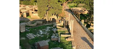 Ostia Antica Archaeological Park: Entry + One-Way Shuttle Service