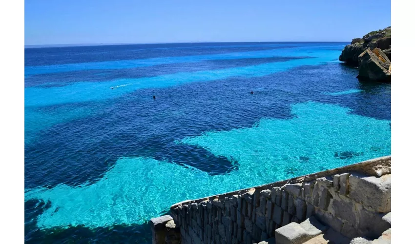 Favignana & Levanzo: RIB Boat Tour from Trapani + Lunch & Aperitif