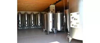 Cantina Fratelli Vogadori: Valpolicella-Weinverkostung