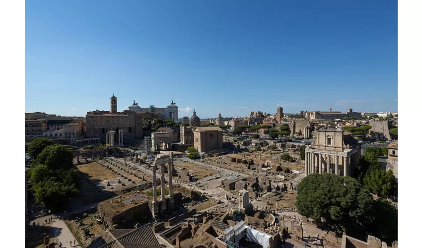 Colosseo, Foro Romano e Palatino + Tour guidato