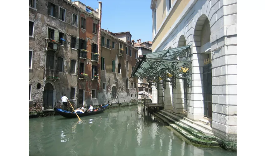 La Fenice Opera House: Skip The Line + Audio Guide