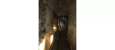 Stadium of Domitian & Trevi Fountain Rome: Stadium Visit + Trevi Guided Tour