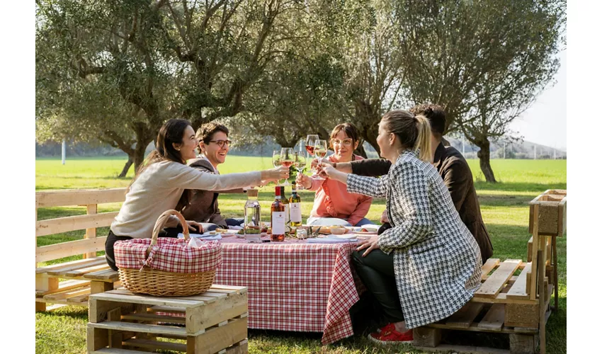 Weingut Mazzarosa: Ländliches Picknick im Olivenhain
