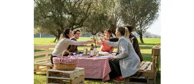 Weingut Mazzarosa: Ländliches Picknick im Olivenhain