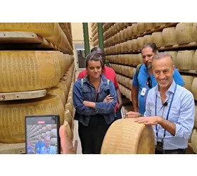 Noceto: Visita guidata al Caseificio del Parmigiano Reggiano