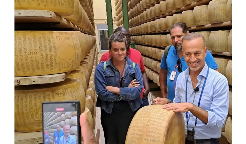 Noceto: Parmesan Cheese Factory Guided Tour