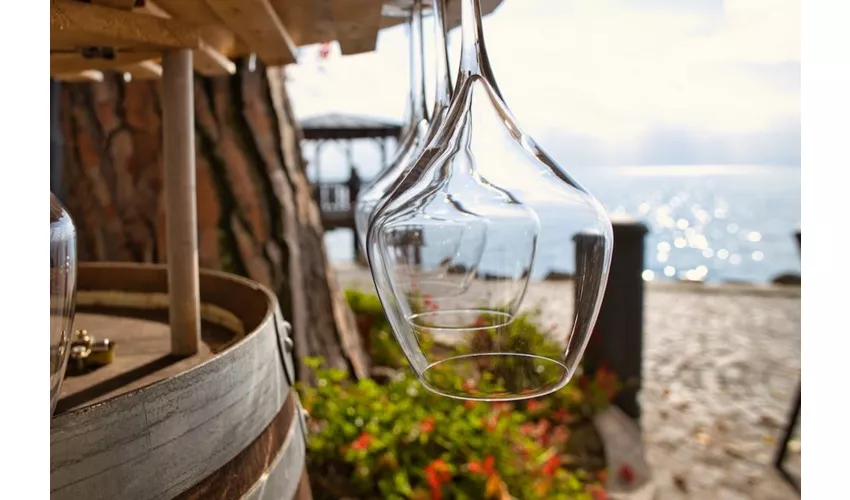 Sirmione e il Lago di Garda: Tour guidato da Verona + Barca privata + Degustazione di Spritz