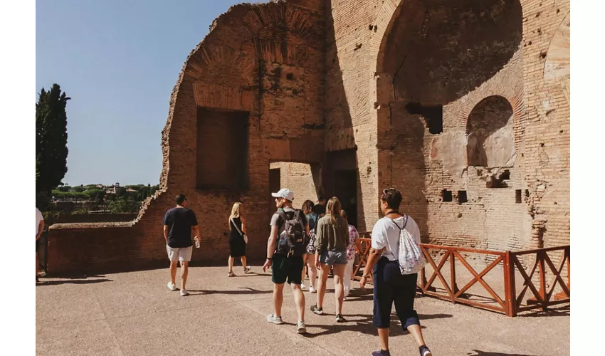 Colosseo, Arena, Foro Romano e Palatino + Tour guidato